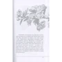 Экхарт Толле: Единство со всей жизнью: ISBN 978-5-386-13368-9