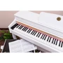Цифровое пианино Alfabeto Concertino (White): Тип Интерьерные