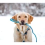 Нашийник Max & Molly Smart ID Collar - Matrix Sky Blue/L для собак (4894512017542): Виробник Max & Molly