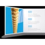 Струна для гитар Струны для акустических гитар D`ADDARIO XSABR1253: Назначение Для акустической гитары