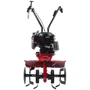 Мотокультиватор Eurosystems Z3 BS625EXI Briggs&Stratton 625EXI фото 2
