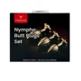 Набор анальных пробок LOCKINK YEAHWOW Nympho Butt Plug Set