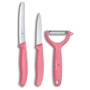 Набор кухонных ножей Victorinox SwissClassic Paring Set 3 пр. (6.7116.33L12): Материал рукояти полипропилен