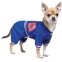 Дощовик Pet Fashion Silver XL (4823082429929): Тип Дождевики