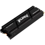 Kingston FURY Renegade 2 TB з Heatsink (SFYRDK/2000G)
