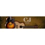 Электроакустическая гитара CORT CJ Retro (Vintage Sunburst Matt): Количество струн 6