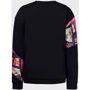 Спортивный свитшот Arena Sweat Panel (003645-510) 50 черный: Вид Спортивные свитшоты