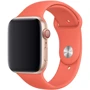 Аксесуар для Watch Apple Sport Band Clementine (MWUW2) for Apple Watch 42/44/45/49mm: Виробник Apple