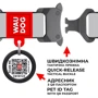 Ошейник для собак WAUDOG Waterproof c QR-паспортом голубой (28012): Производитель WAUDOG