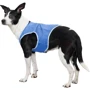 Жилет охолодний для собак Trixie Cooling Vest XS 20 см (4047974301319): Тип Жилеты