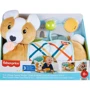 Розвиваючий ігровий набір Fisher-Price Цуценя (HJW10): Призначення іграшки Пространственное восприятие, Сенсорные навыки, Мелкая моторика, Пространственное восприятие