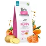 Сухий беззерновий корм Brit Care Dog Grain-free Puppy Salmon для цуценят з лососем 12 кг (8595602558803): Тип Сухой корм