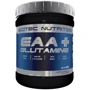Аминокислота для спорта Scitec Nutrition EAA + Glutamine 300 g /33 servings/ Mango
