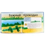 Набір для дітей книга + творчість: Моделювання з кульок (0478): ISBN 9785989710478