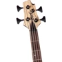 Бас-гітара CORT A4 Ultra Ash (Etched Natural Black): Матеріал корпусу Червоне дерево з топом з Ясеня