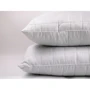 Ковдра Руно Elegante 200х220 см + 2 подушки 50х70 см (925.52_Elegante) фото 11