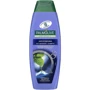 Palmolive Naturals Шампунь против перхоти Дикая мята с маслом чайного дерева 350 ml