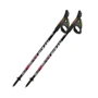 Трекінгова палиця Fizan S_23 Nordic Walking S22 7109 NW LITE FLOWER