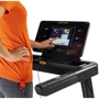 Беговая дорожка Tunturi T40 Treadmill Compentence 19TRN40000 (19TRN40000)