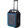 Акустика Blaupunkt Black (MB10): Тип напольная