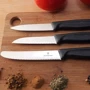 Набор кухонных ножей Victorinox SwissClassic Paring Set 3 пр. (6.7113.3) фото 6