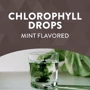 Nature's Way Chlorofresh® Mint 40X Liquid Капли с хлорофиллом, со вкусом мяты 59 мл