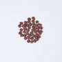Сухой корм Carnilove True Fresh Cat Turkey для котов с индейкой 4.8 кг (8595602561469): Тип Сухой корм