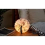 Светильник на аккумуляторе Gingko Velvet Accordion Gucci зеленый (G006GK): Тип питания От USB, Аккумулятор
