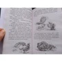 Пол Стюарт, Крис Ридделл: Хроники края. За Темными Лесами: Количество страниц 320