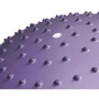 Мяч для фитнеса Hop-Sport 65 cм HS-R065GB purple + насос: Особенности С насосом, Массажные