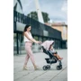 Прогулочная коляска FreeON LUX Premium Dusty Pink-Black (44688): Количество блоков 1