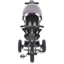 Велосипед детский трехколесный TurboTrike коричневый (MT 1001-5): Диаметр колес, дюймов 12