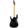 Электрогитара Ibanez RG421EX BKF: Тип Электрогитара