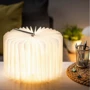 Светильник-книга на аккумуляторе MINI URBAN Gingko Англия серый (GK12F-GY8): Тип питания От USB, Аккумулятор