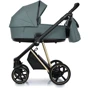 Универсальная коляска 2 в 1 Roan Ivi Pine Green Gold (R-I-PG): Количество блоков 2