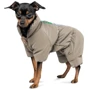 Комбинезон для собак Pet Fashion EGO S2 (PR243141)