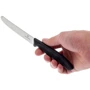 Набор кухонных ножей Victorinox SwissClassic Paring Set 3 пр. (6.7113.3): Наименование Набор кухонных ножей 3 пр.