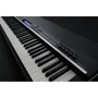 Сценические цифровые пианино YAMAHA CP4 Stage: Количество клавиш 88 (7.5 октав)