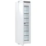 Встраиваемая морозильная камера Gorenje FNI5182A1: Тип Встраиваемая морозильная камера