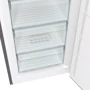Морозильна камера Gorenje FN619FES5: Кількість дверей 1