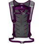 Рюкзак туристический Osprey Daylite 13 Amulet Purple - O/S - фиолетовый фото 2
