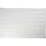 Ковдра Руно Warm Silver 172х205 см (316.52_Warm Silver): Тип теплі