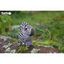 Сборная 3D модель Eugy Зоопарк: Зебра (XEG-011)