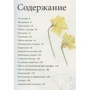 Біллі Шоуелл: Ботанічні портрети. Практичний посібник з малювання аквареллю: ISBN 978-5-00169-839-5