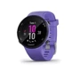 Смарт-годинник Garmin Forerunner 45s Iris (010-02156-11)