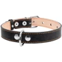 Ошейник Collar 25 мм 38-50 см Черный (4820082491826): Производитель Collar