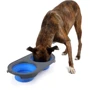 Подвійна миска Dexas Collapsible Pet Feeder складана велика 1200 мл зелена (dx30658): Тип Миски