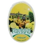 Драже Anis de Flavigny Аніс Лимон 50 г (3360100520103): Вага, г 50