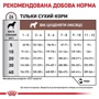 Сухой корм для щенков Royal Canin Gastro Intestinal Junior Canine при нарушениях пищеварения 2.5 кг (39570251): Вес упаковки 2.5 кг