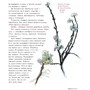 Дэнни Грегори: Творческие права. Как открыть в себе художника и научиться видеть: Производитель Манн, Иванов и Фербер